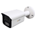 IP Cameras