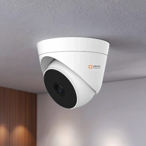 Cámara de seguridad profesional AHD CCTV de 2 megapíxeles ISON AHD20F-PL-E