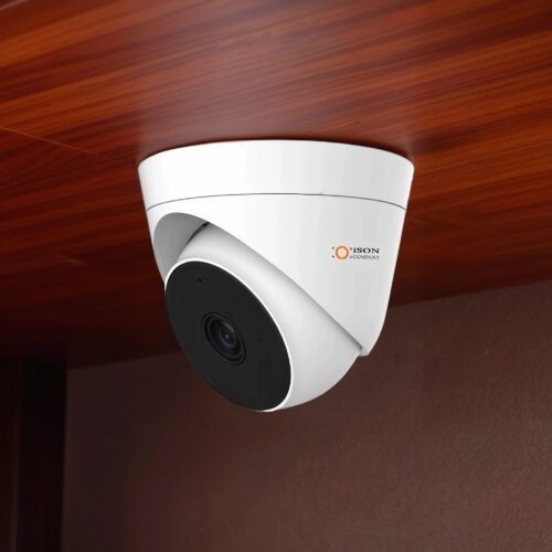Cámara de seguridad profesional AHD CCTV de 2 megapíxeles ISON AHD20F-PL-E